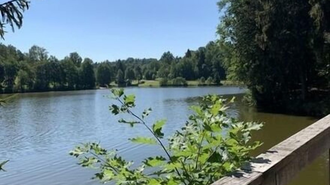 Photo of Outdoor in Schofweg
