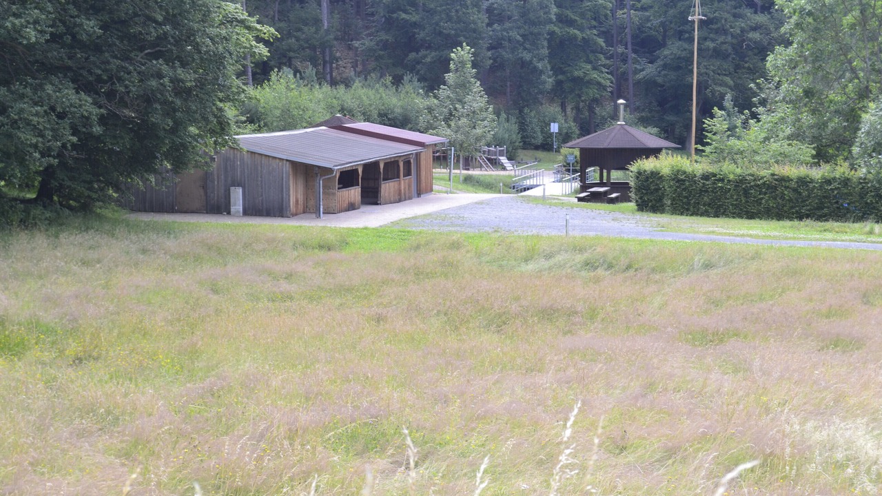 Photo of Outdoor in Wildensee