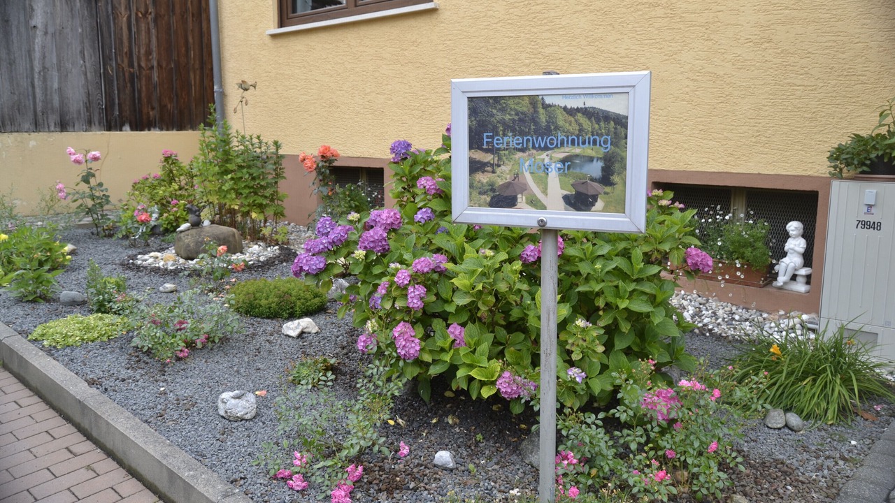 Photo of Outdoor in Wildensee