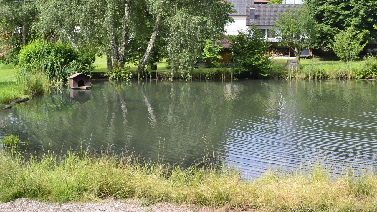 Photo of Outdoor in Wildensee