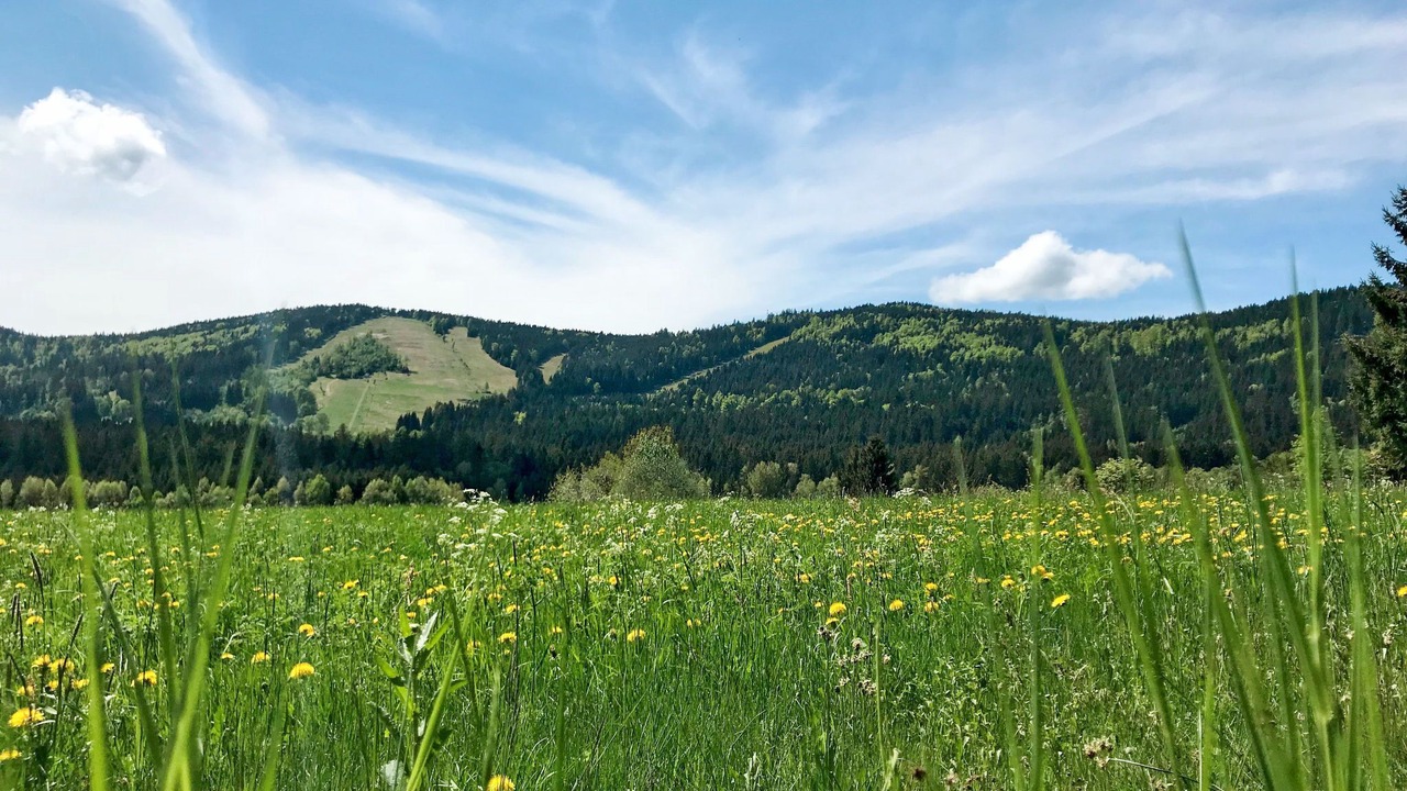Photo of Outdoor in Habischried