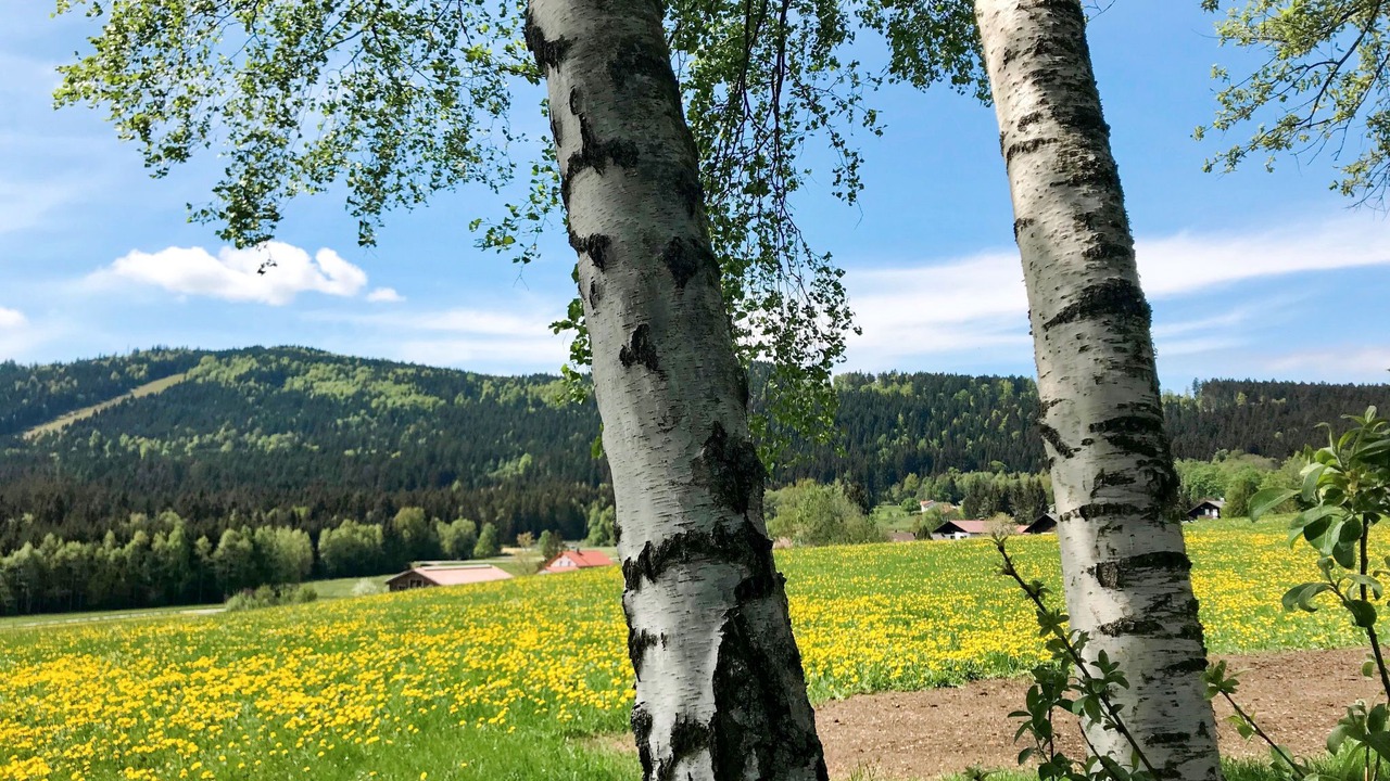 Photo of Outdoor in Habischried