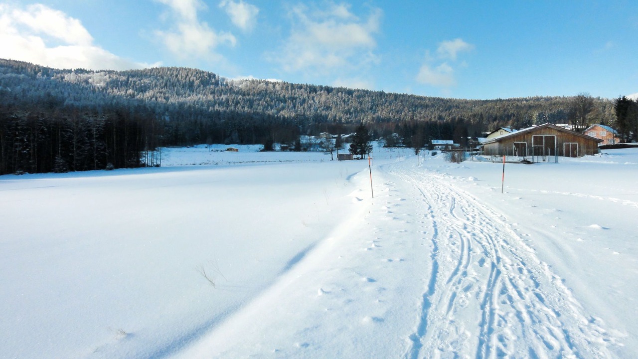 Photo of Outdoor in Habischried