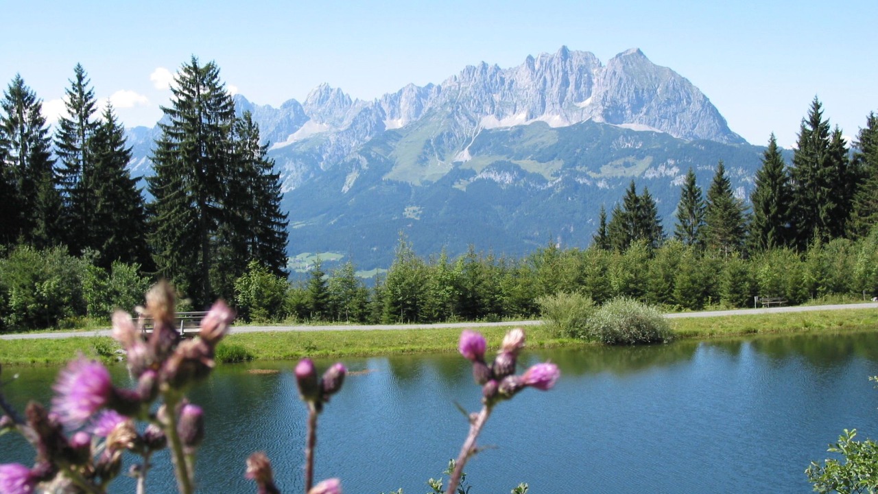 Photo of Others in Altbach