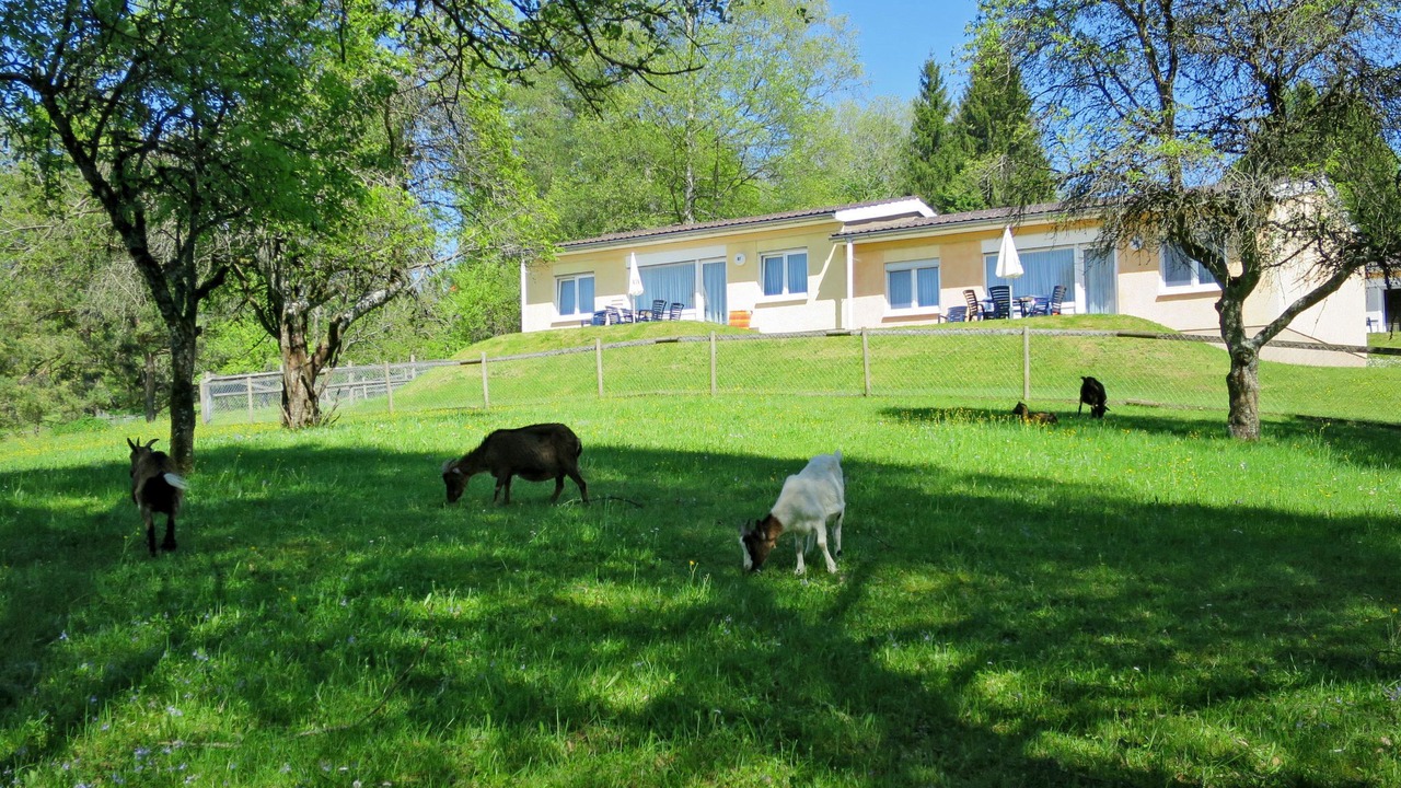Photo of Others in Stockach