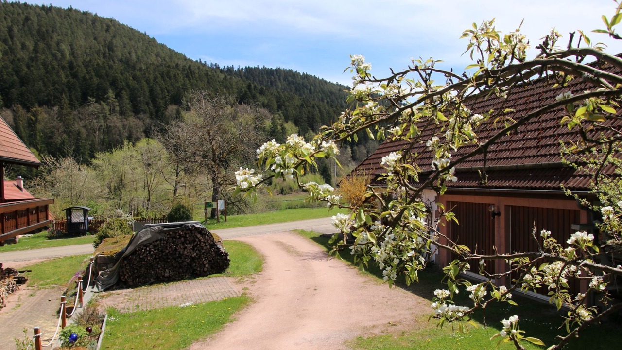 Photo of Outdoor in Alpirsbach