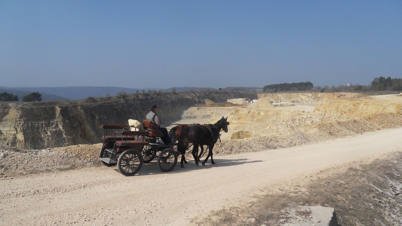Photo of Others in Schernfeld