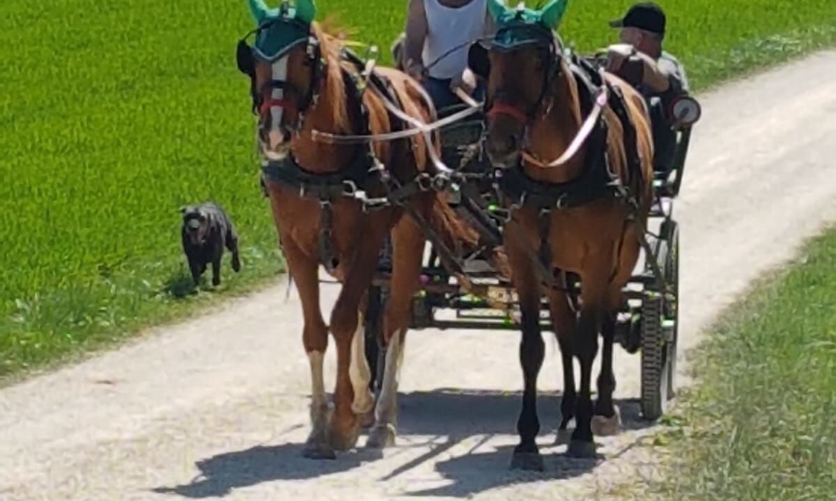 Photo of Outdoor in Schernfeld