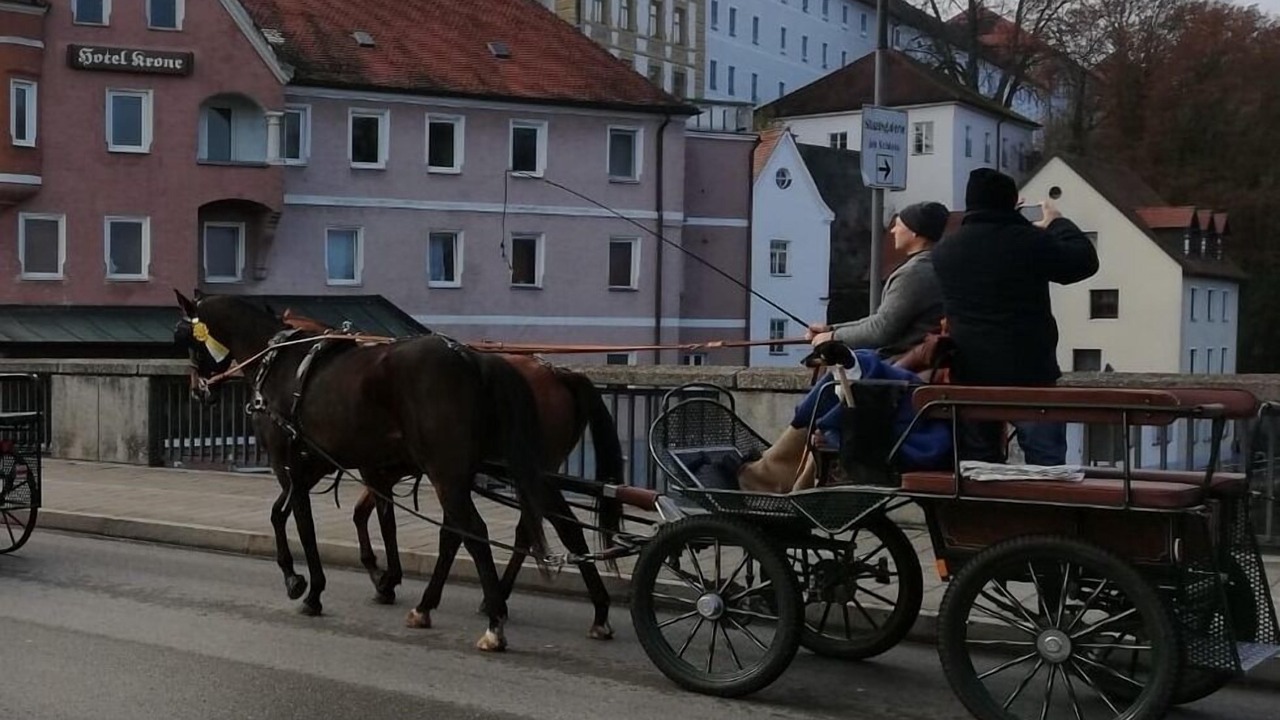 Photo of Others in Schernfeld