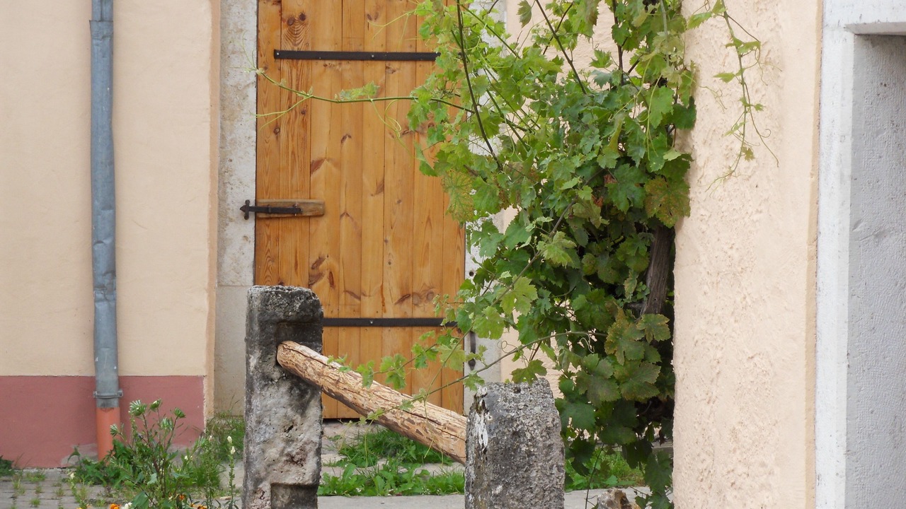 Photo of Outdoor in Schernfeld
