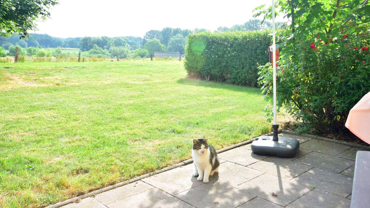 Photo of Outdoor in Bad Kleinen