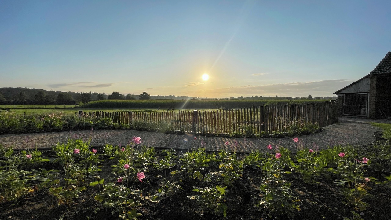 Photo of Outdoor in Rhedebrugge