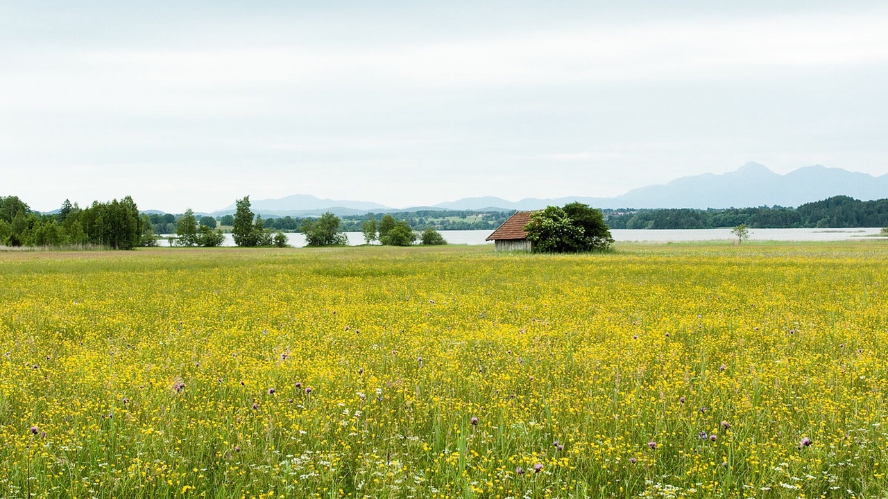 Photo of Others in Seehausen am Staffelsee