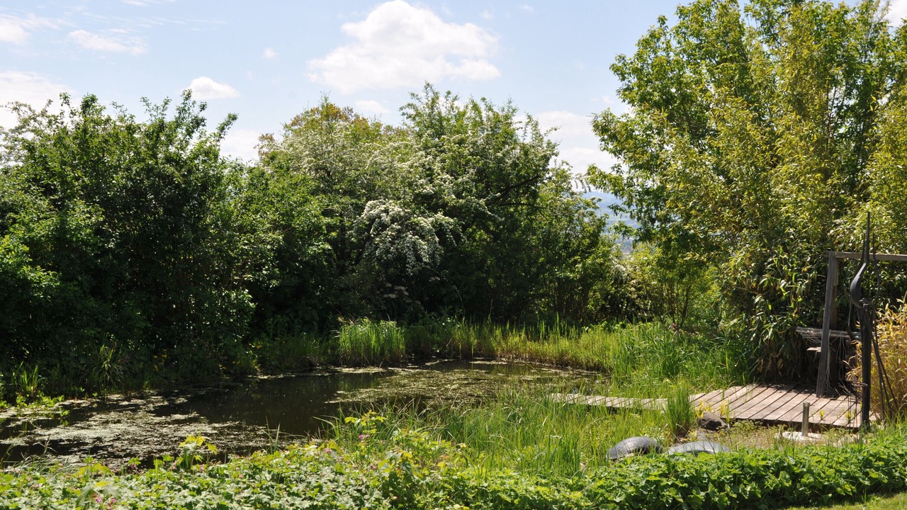 Photo of Outdoor in Dietmannsried