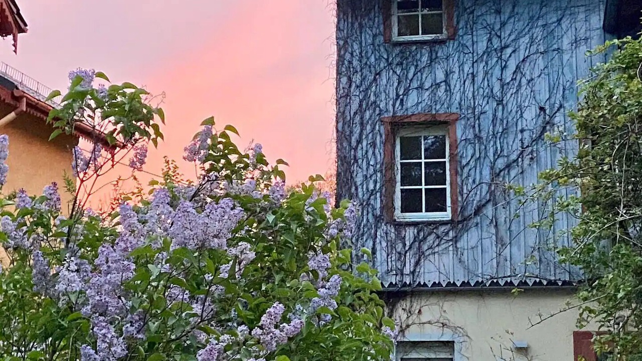 Photo of Outdoor in Kurort Gohrisch