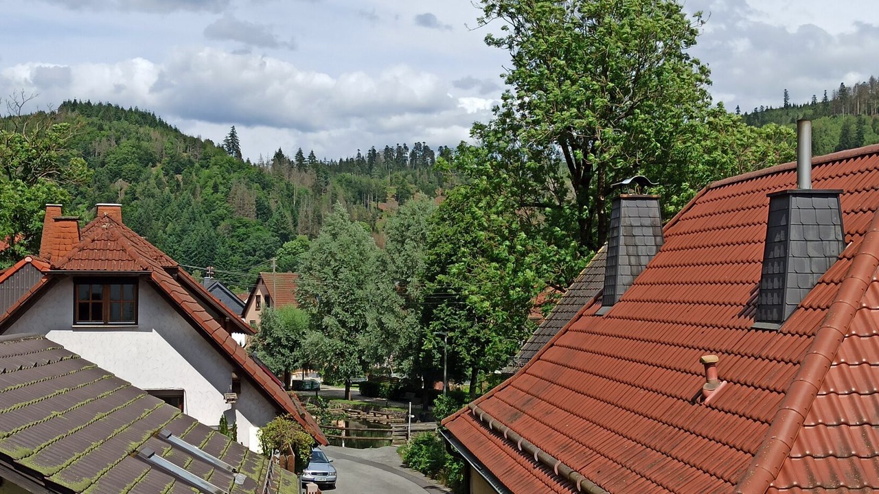 Photo of Outdoor in Steinwiesen