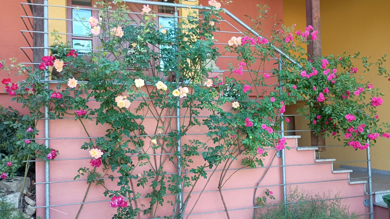 Photo of Outdoor in Litzendorf