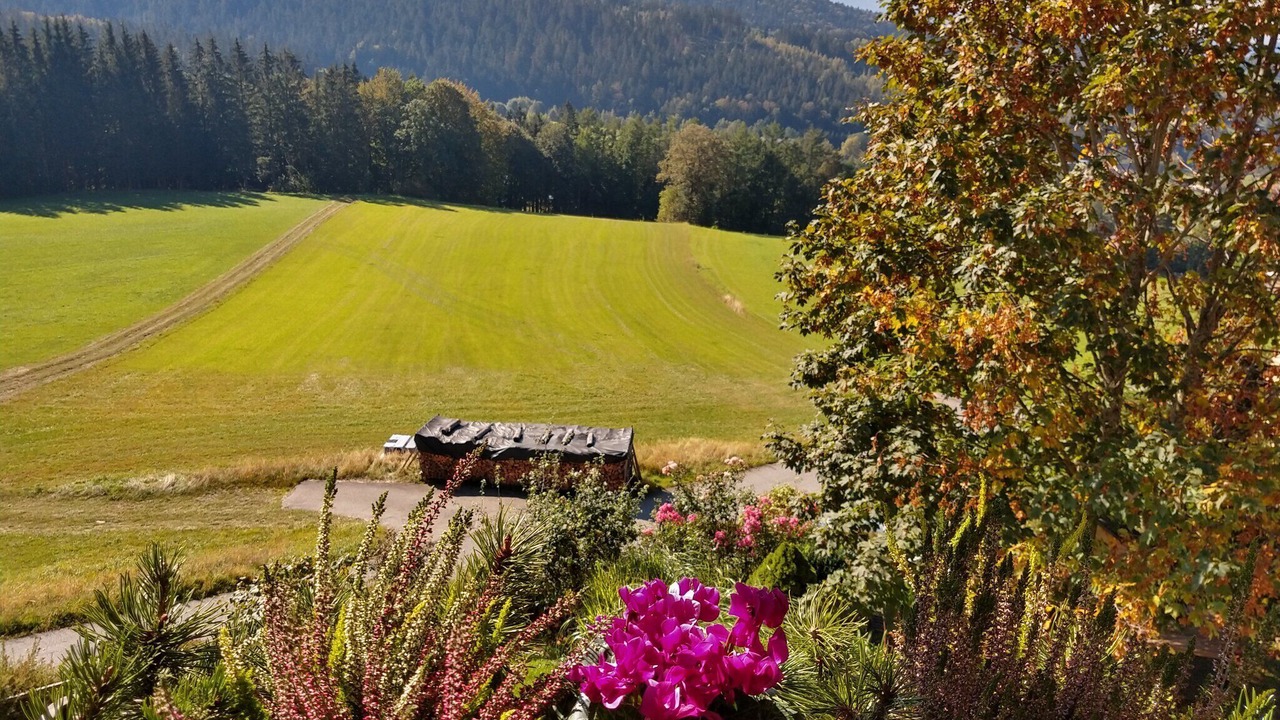 Photo of Outdoor in Grainet