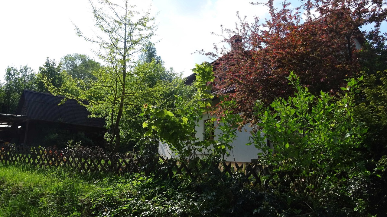 Photo of Outdoor in Goessweinstein