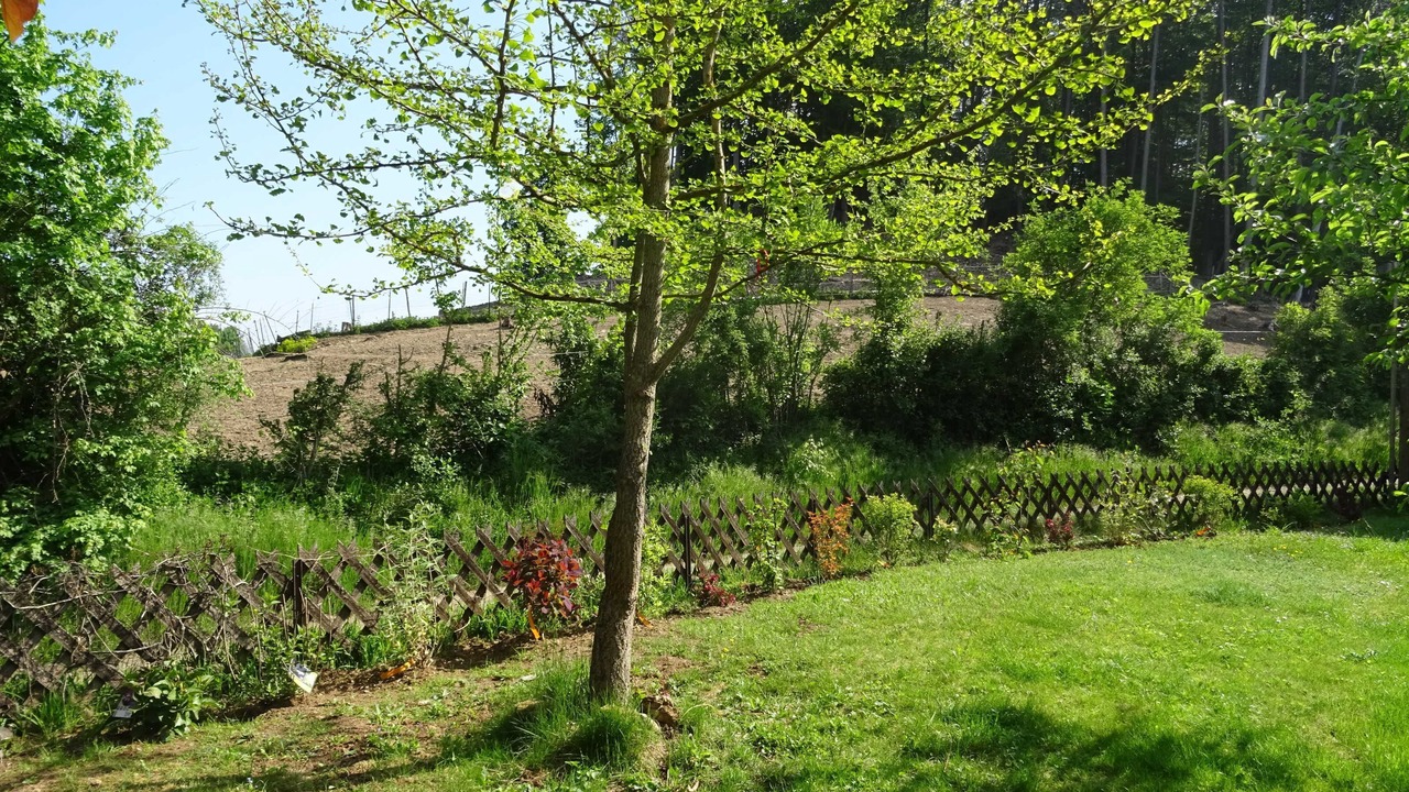 Photo of Outdoor in Goessweinstein