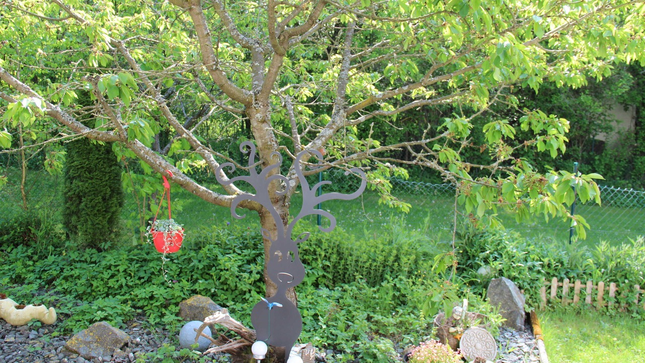 Photo of Outdoor in Goessweinstein