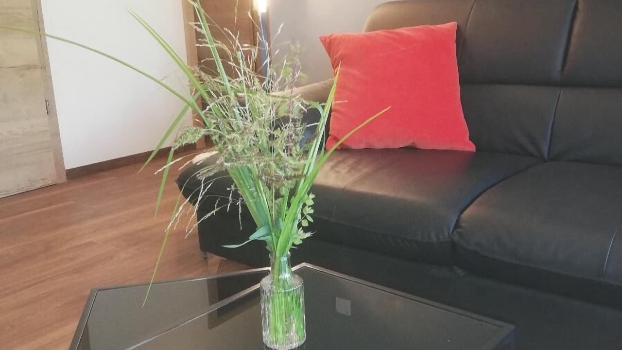 Photo of Livingroom in Rabenstein