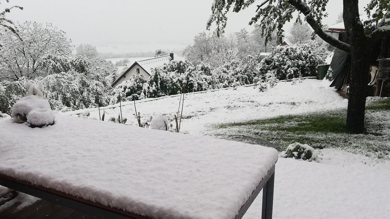 Photo of Outdoor in Weilersbach