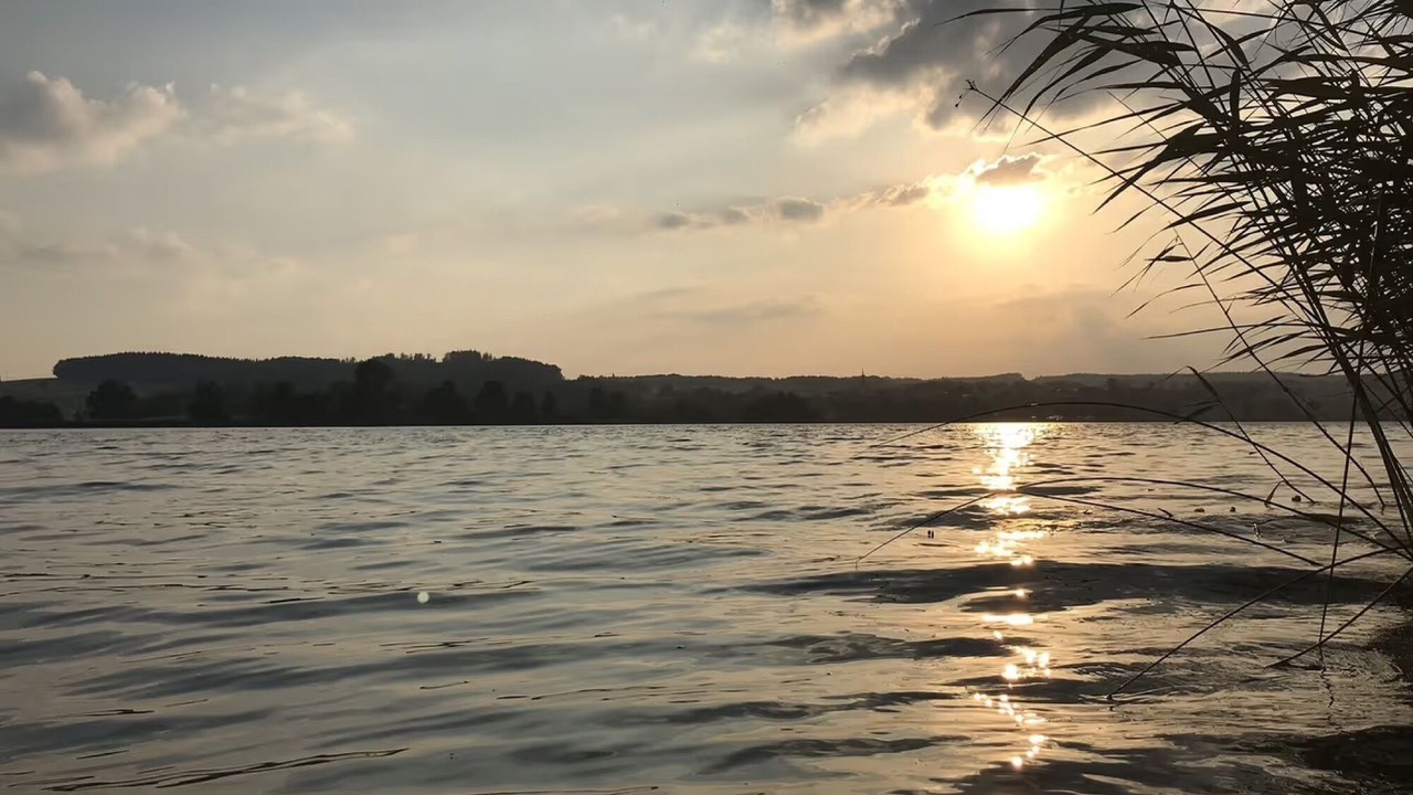 Photo of Others in Waging am See