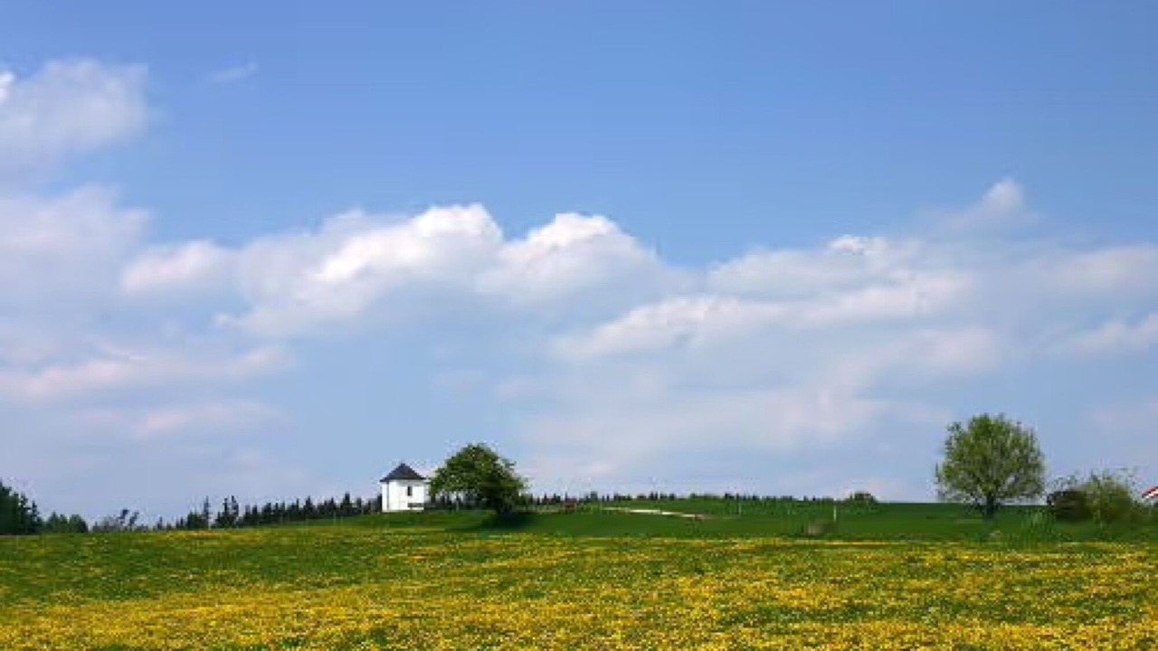 Photo of Others in Waging am See