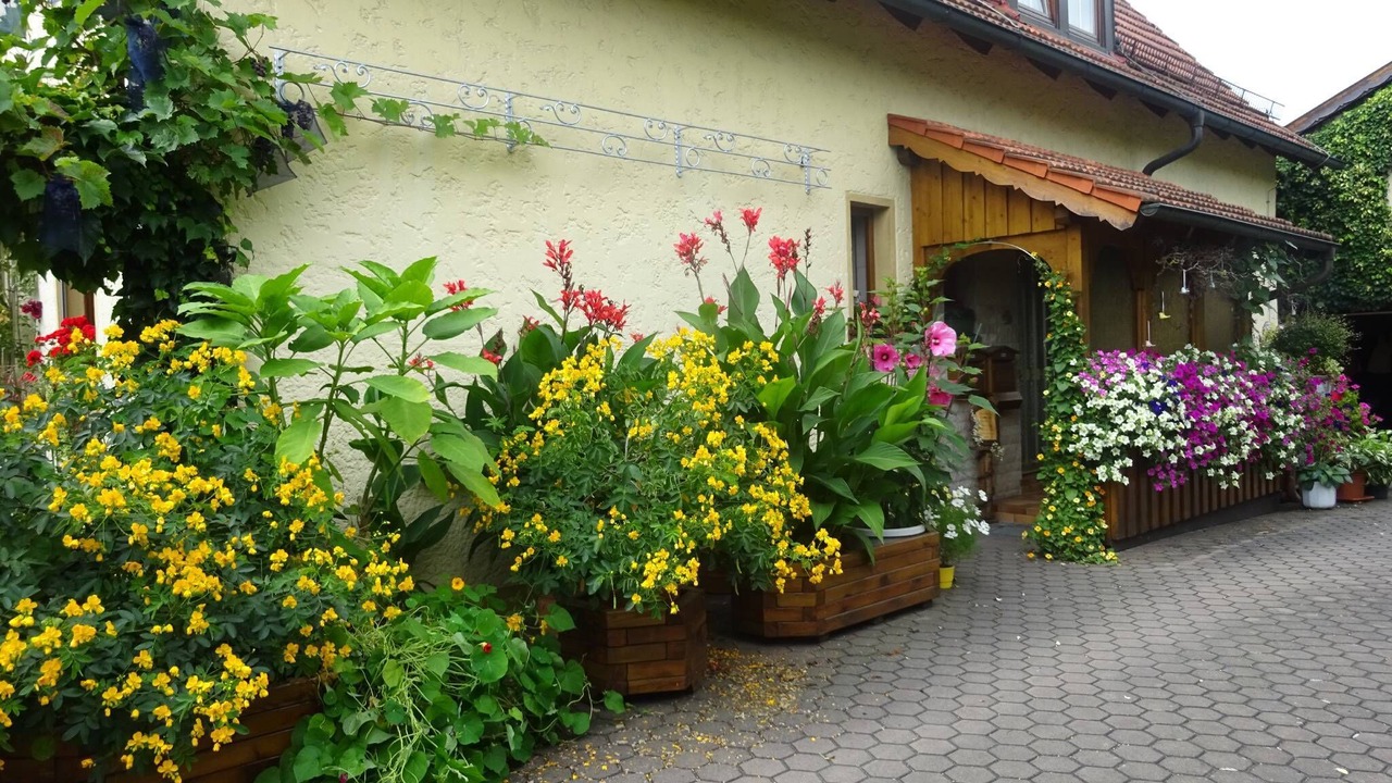 Photo of Outdoor in Harsdorf