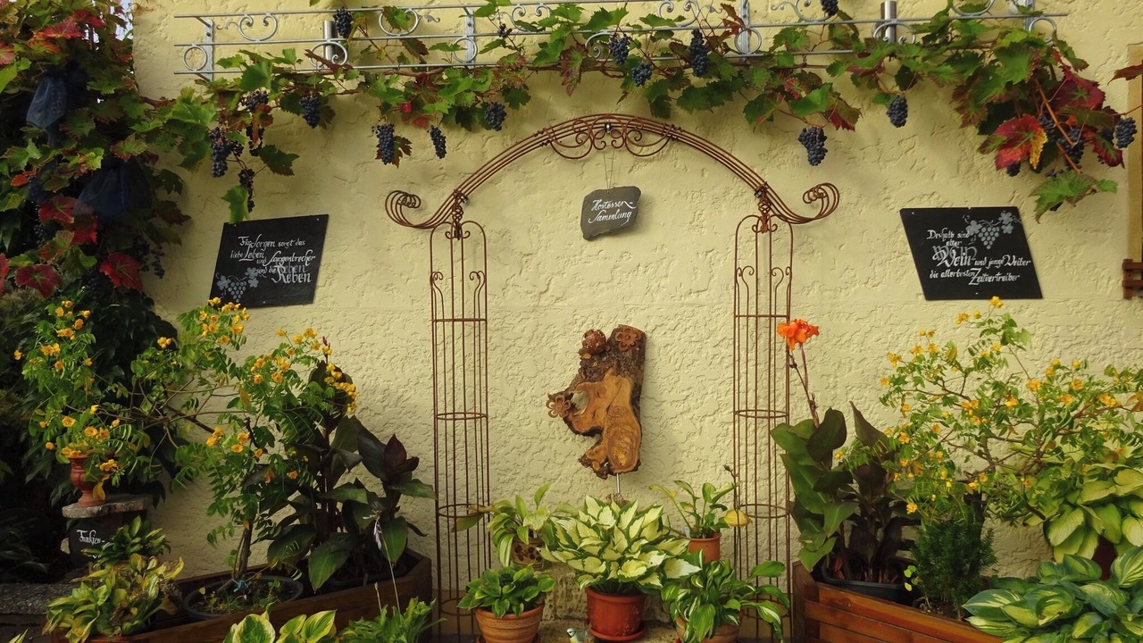 Photo of Outdoor in Harsdorf