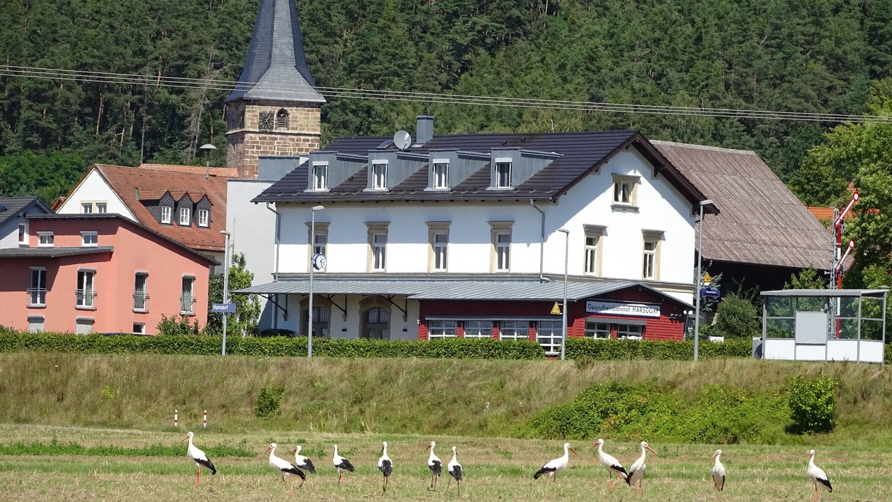 Photo of Outdoor in Harsdorf