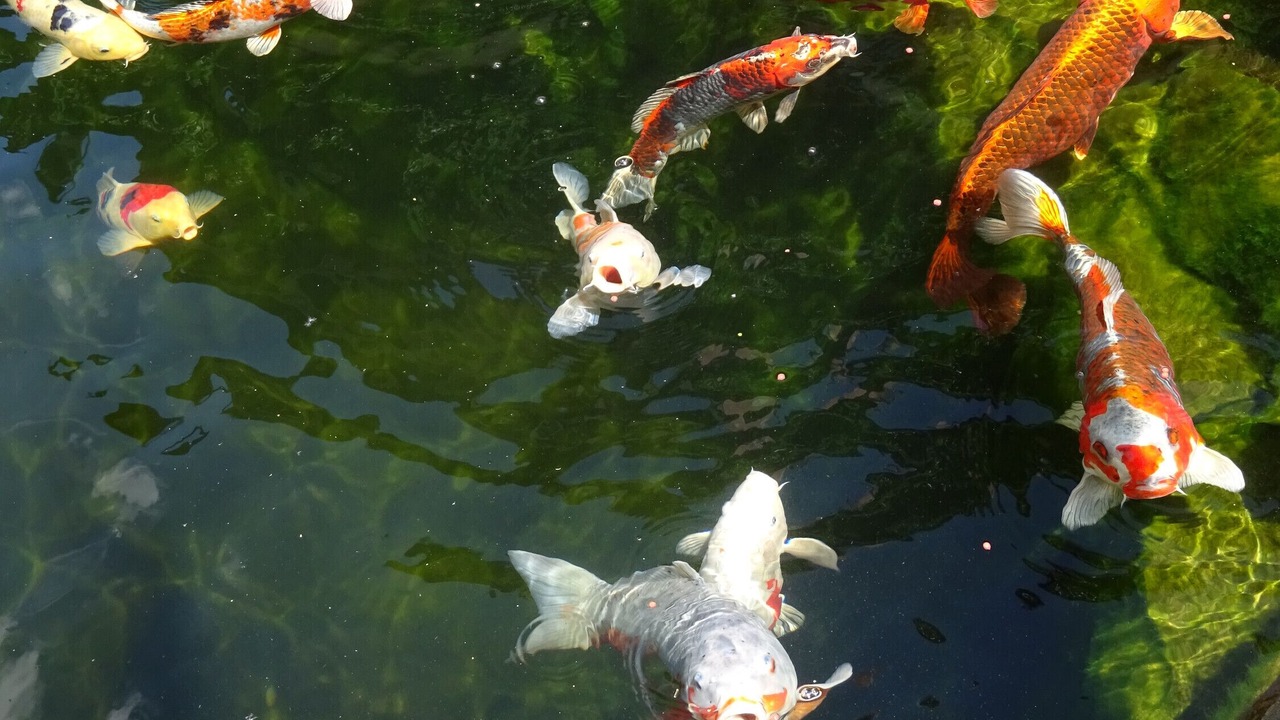 Photo of Others in Harsdorf
