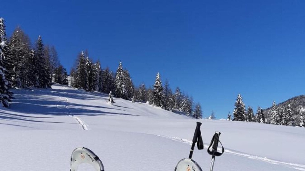 Photo of Others in Auronzo di Cadore