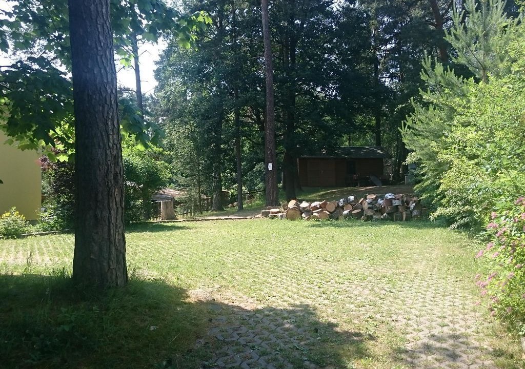 Photo of Outdoor in Reinhardtsdorf-Schoena