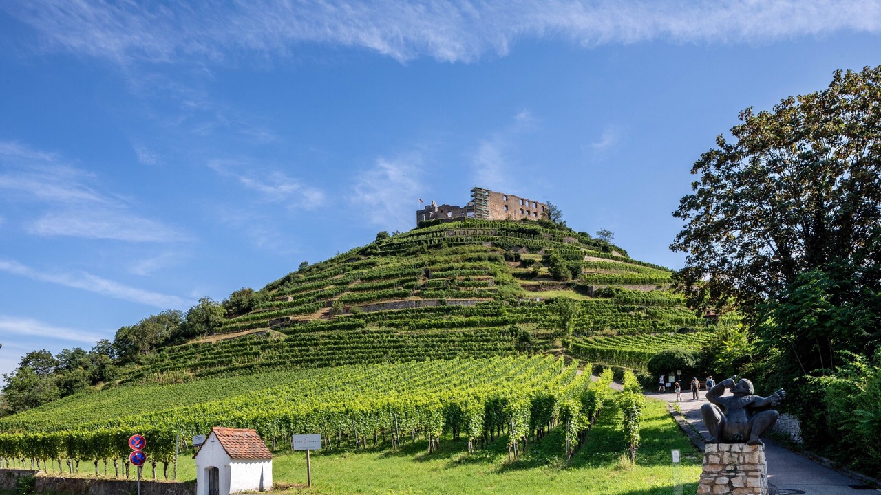 Photo of Others in Staufen im Breisgau