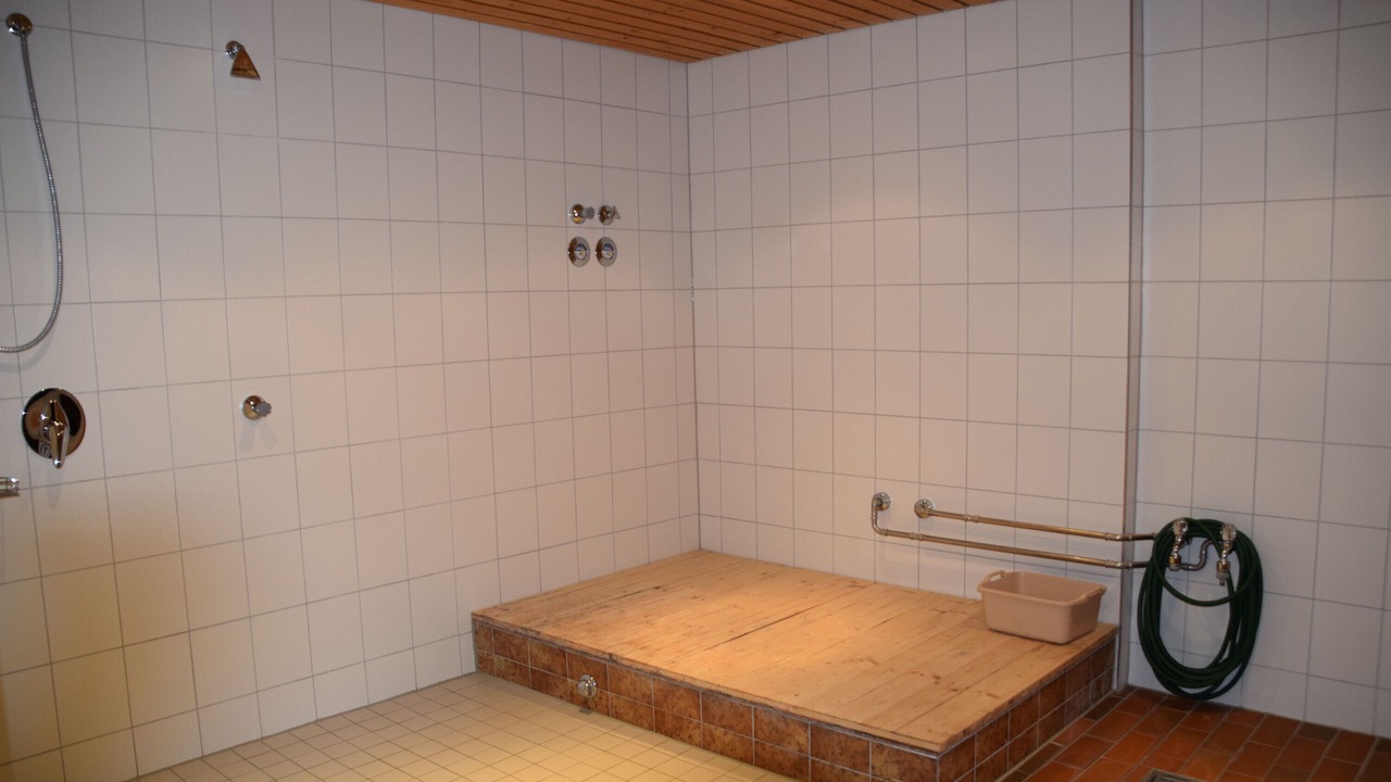 Photo of Bathroom in Steibis