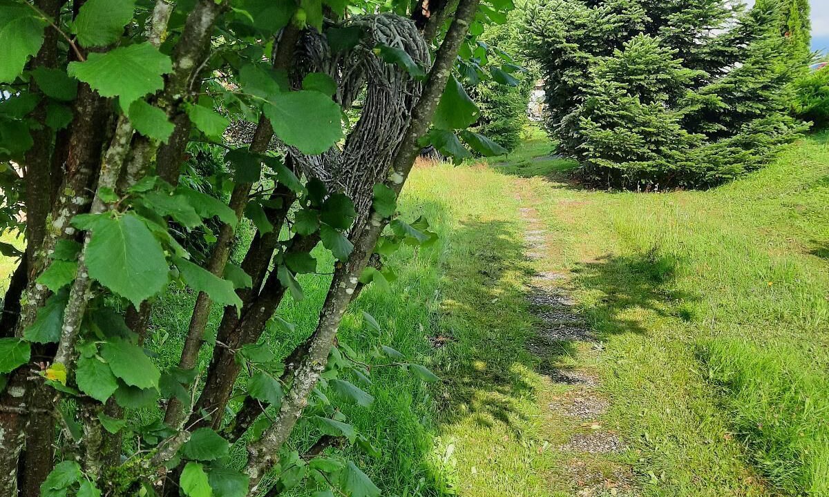 Photo of Outdoor in Waldkirchen
