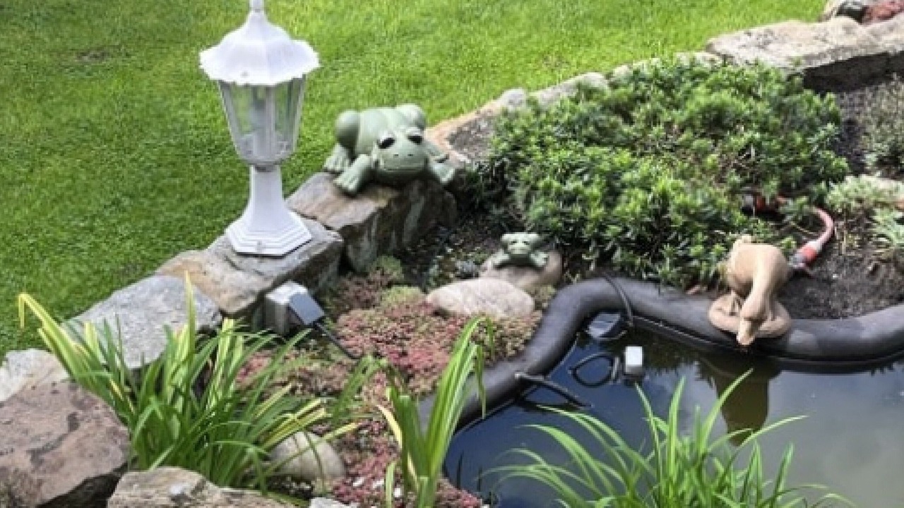 Photo of Outdoor in Hollage