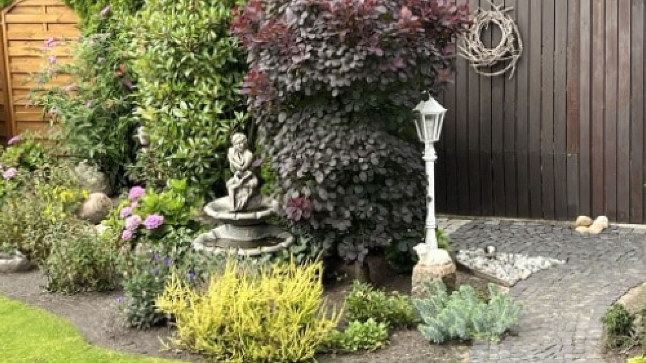 Photo of Outdoor in Hollage