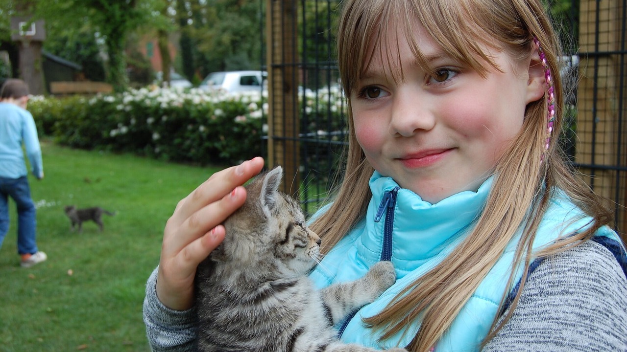 Photo of Others in Rieste