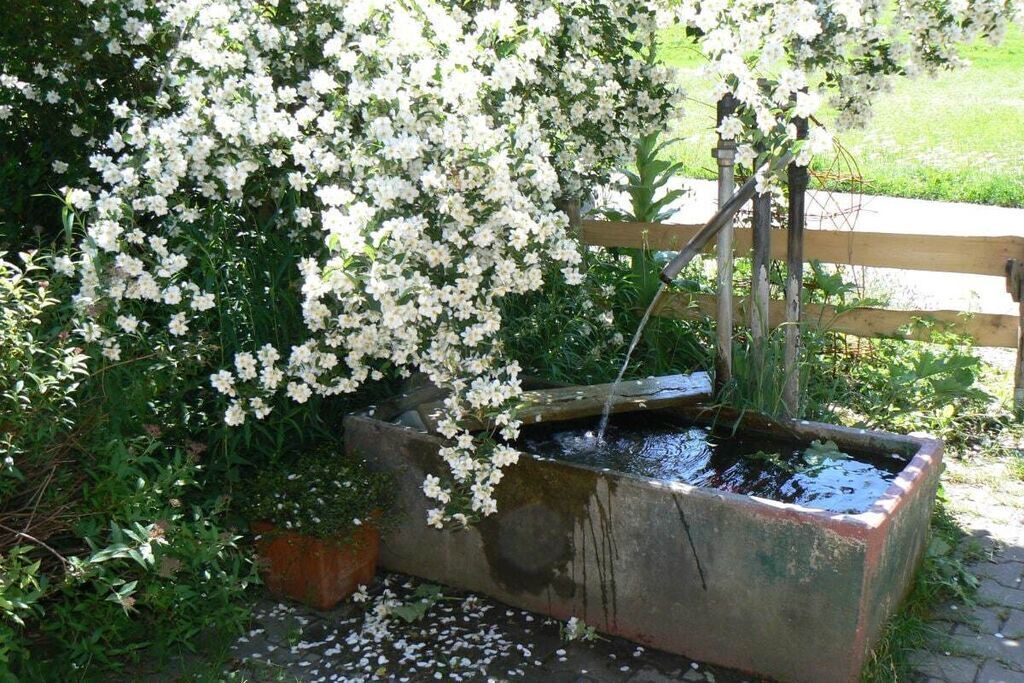 Photo of Outdoor in Sulzberg
