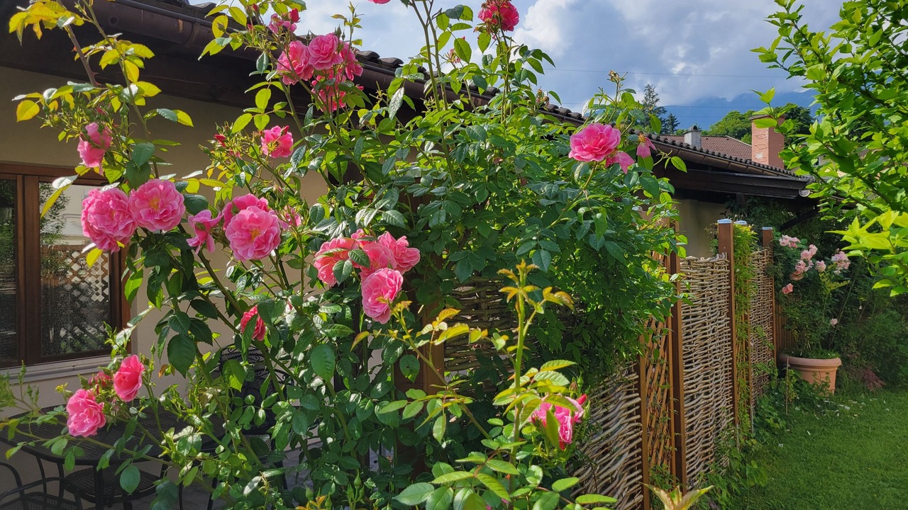 Photo of Outdoor in Weissbach