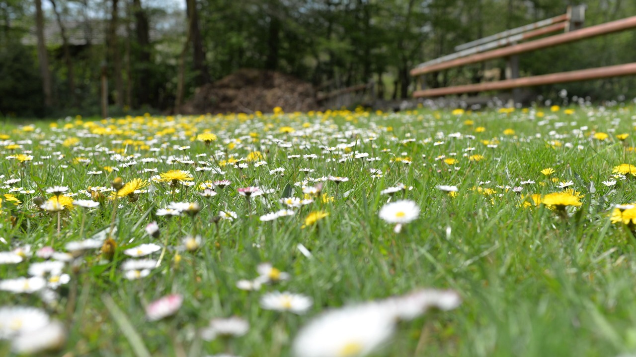 Photo of Outdoor in Haseluenne