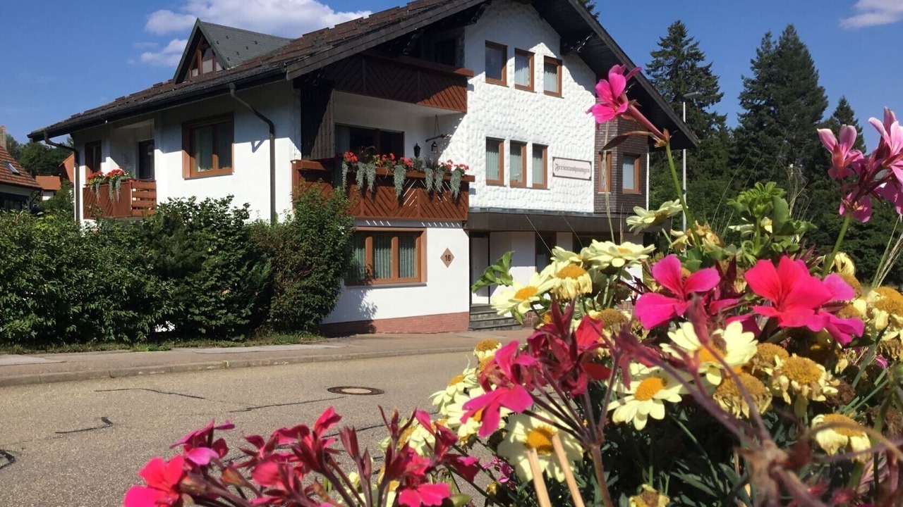 Photo of Outdoor in Kniebis