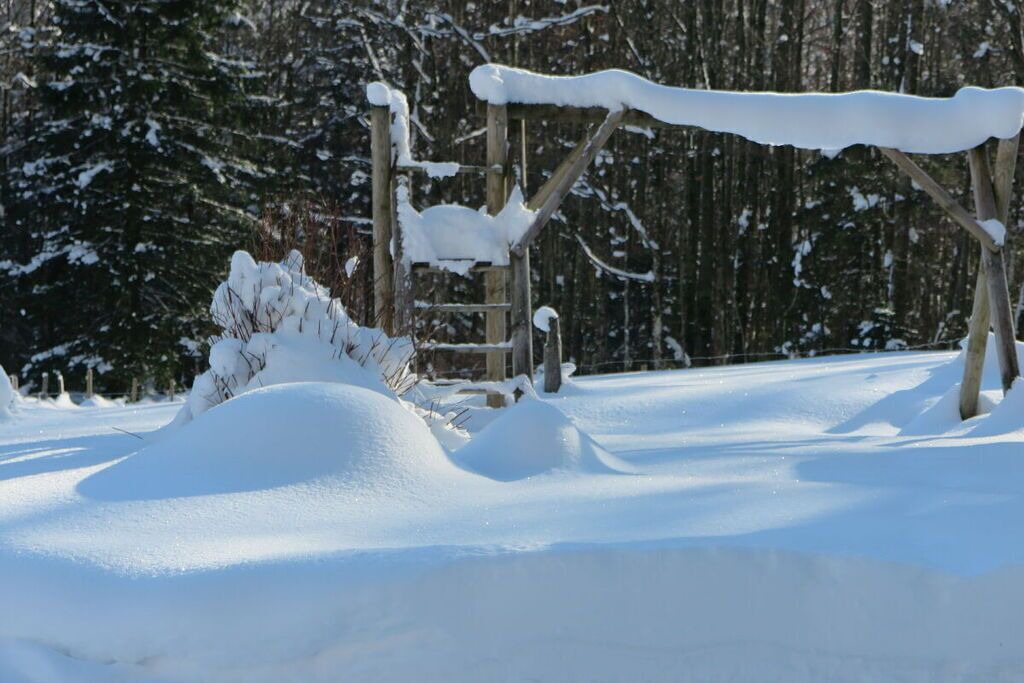 Photo of Others in Aschau im Chiemgau