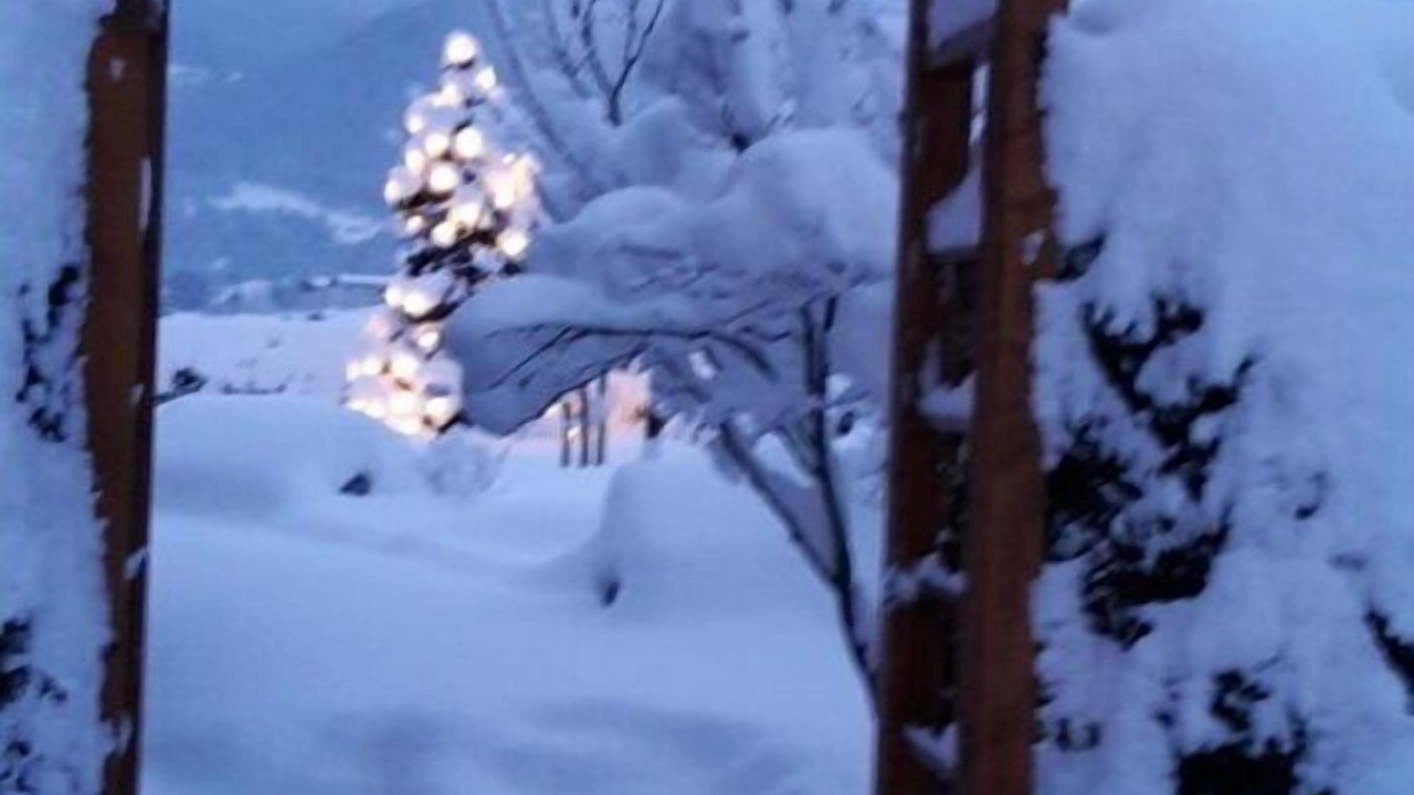 Photo of Others in Oberschonau