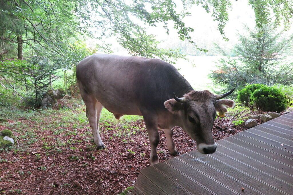 Photo of Others in Aschau im Chiemgau