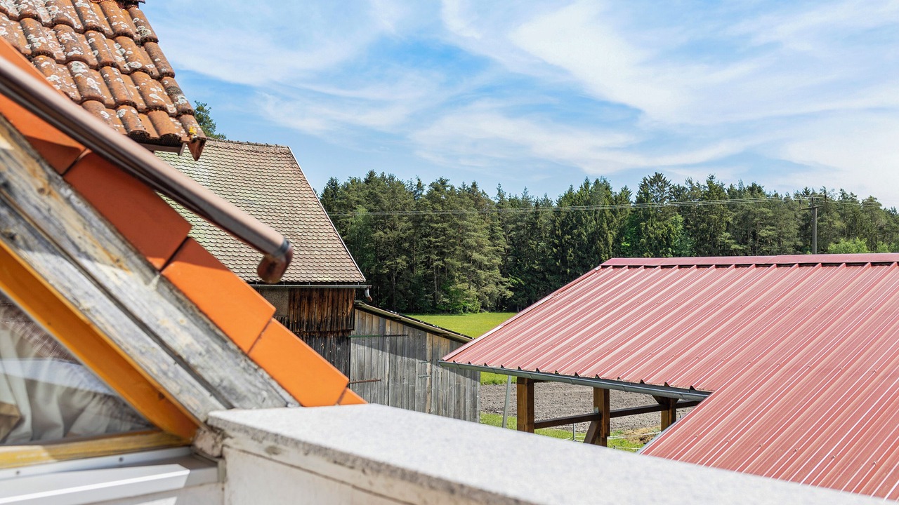 Photo of Outdoor in Weiden in der Oberpfalz
