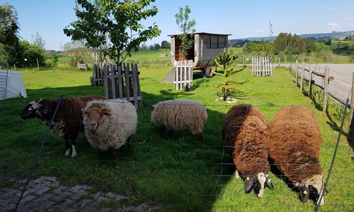 Photo of Outdoor in Buchenberg